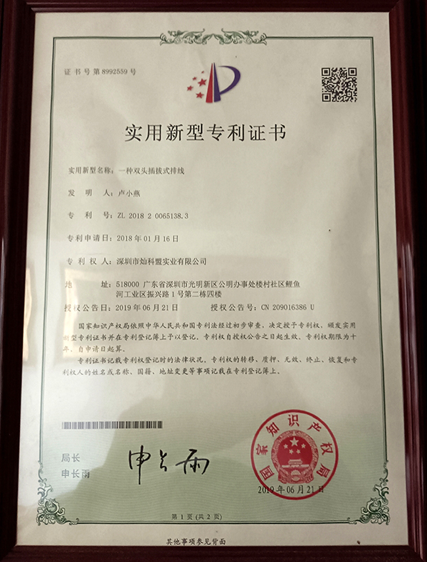 一种双头插拔式排线